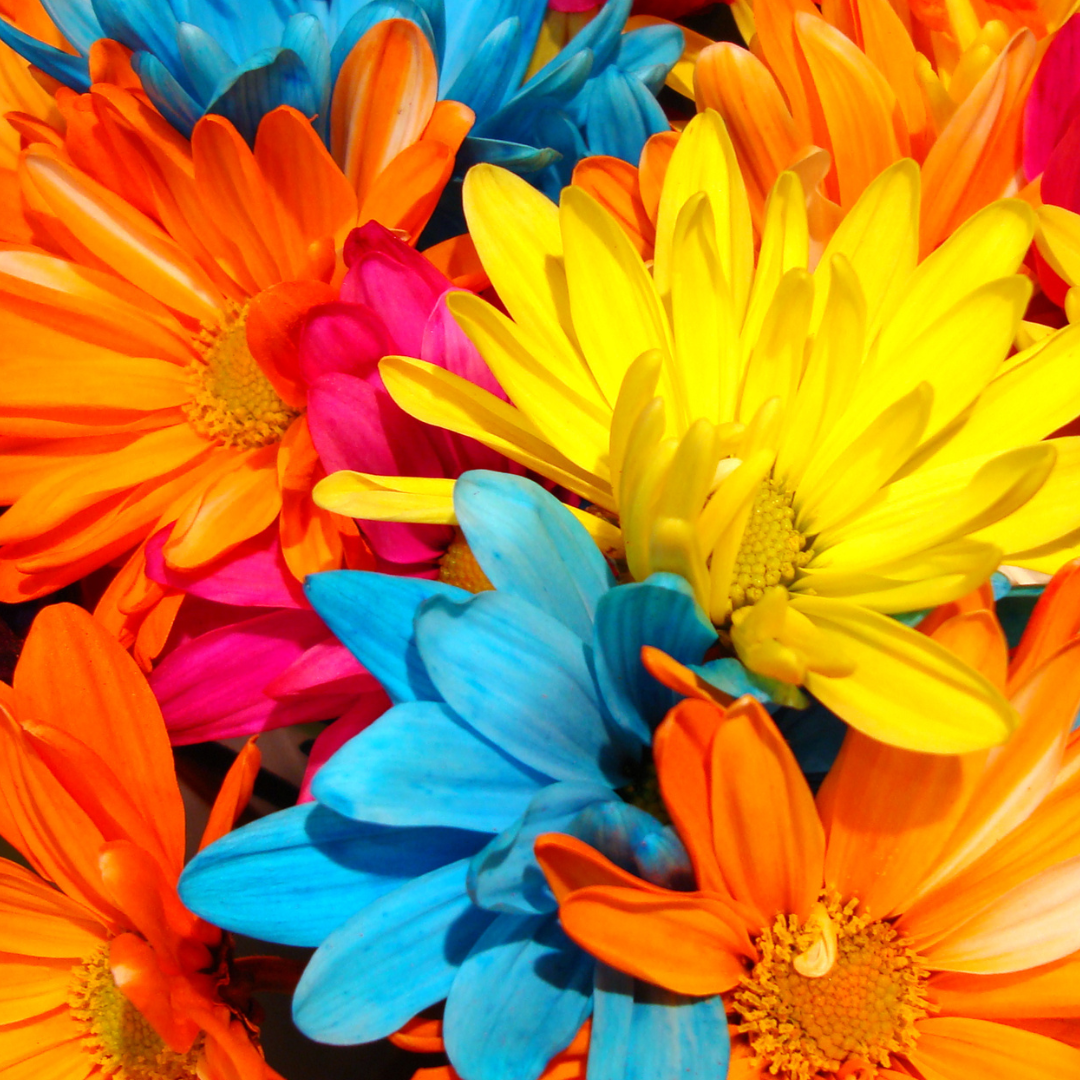 Hanging Car Diffuser