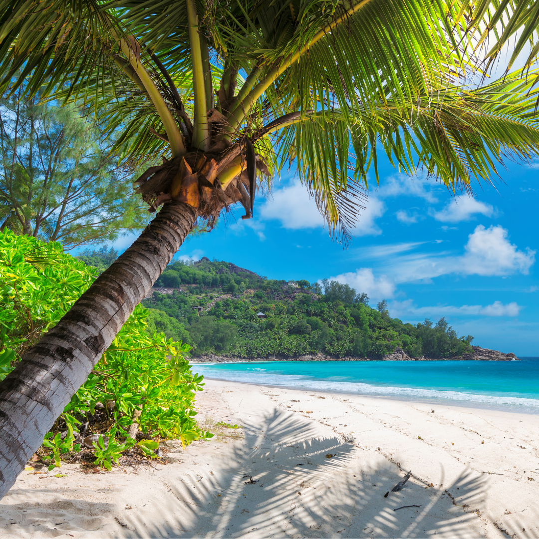 Hanging Car Diffuser