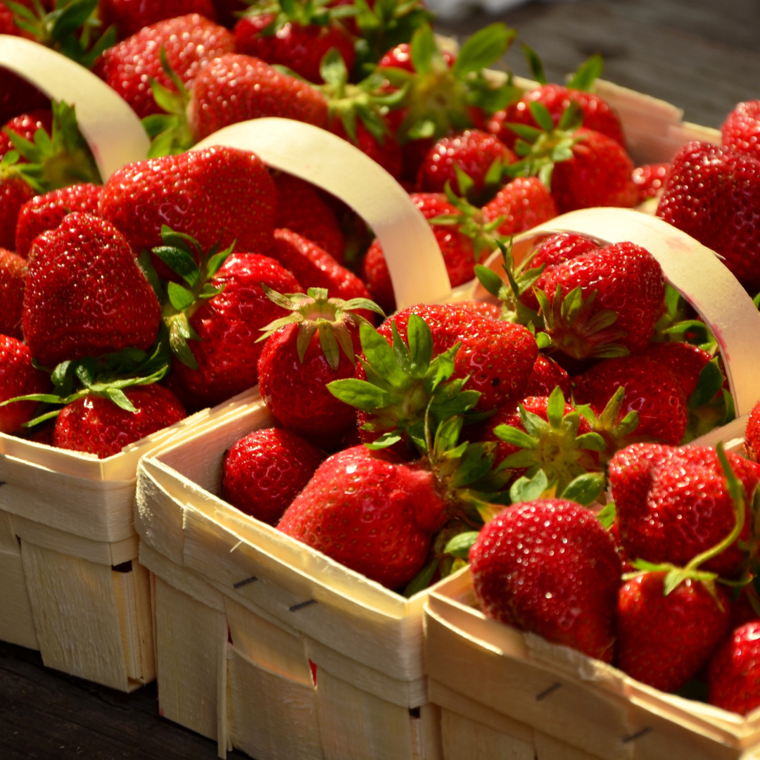 Hanging Car Diffuser